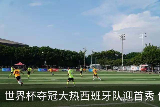 世界杯夺冠大热西班牙队迎首秀 伊朗队入境美国参赛